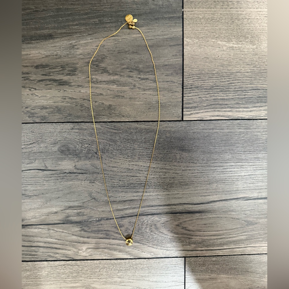 Alex and Ani Gold Chain Necklace
